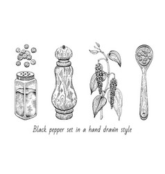 Black Pepper Peppercorn Spice