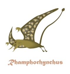 Dinosaur Rhamphorhynchus