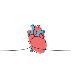 Human Heart One Line Colored Continuous Drawing