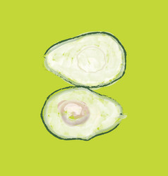 Two Halves Avocado On A Green Background