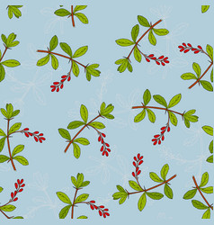 Seamless Pattern With Barberry Edible