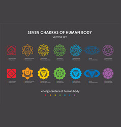 Seven Chakras Human Body Set