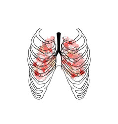 Human Body Rib Cage Skeletal System With Lungs