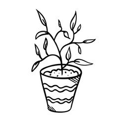 A Flower In Pot And Sketch