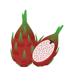 Dragon Fruit Flat Design Clip Art