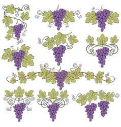 Grapes Bunches Set