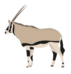 African Antelope Oryx In Flat Style Isolated