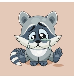 Sad Raccoon Cub Crying