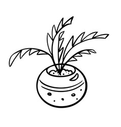 A Flower In Pot And Sketch