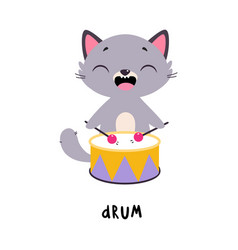 Funny Grey Cat Drum As English Verb