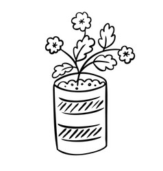 A Flower In Pot And Sketch