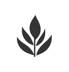 Curry Leaf Icon