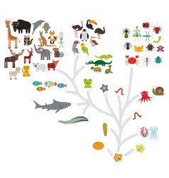 Evolution Scale From Unicellular Organism