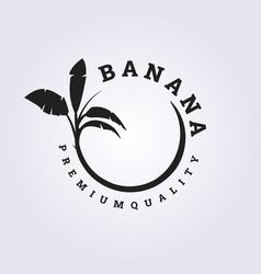 Tree Of Banana Logo With Circle Abstract Concept