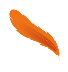 Feather Decoration Icon