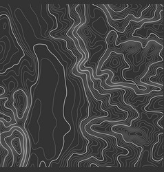 Topographic map background with space for copy Vector Image