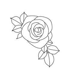 Rose Flower With Leaves Linear Drawing