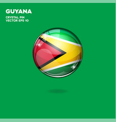 Guyana Flag 3d Buttons