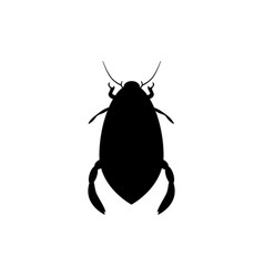 Black Silhouette Of Water Beetle