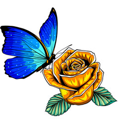 Butterfly On Rose