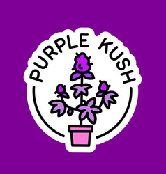 Purple Kush Cannabis Strain Sign Marijuana Package