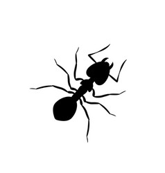 Big Black Ant Silhouette An Insect With Six Legs