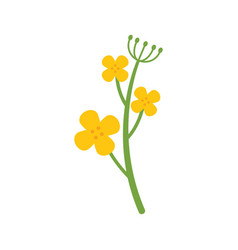 Canola Plant Icon Flat Oil Flower