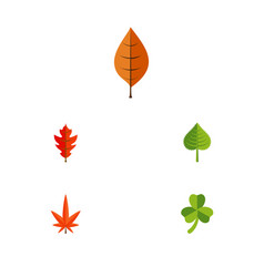 Flat Icon Leaf Set Of Foliage Hickory Leaf