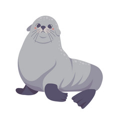 Monk Seal Arctic Animal