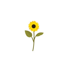 Sunflower Flat Icon Isolated On White