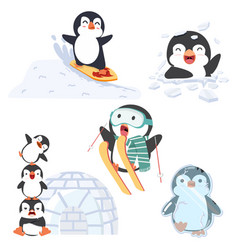 Cute Penguin Activity In Winter Set