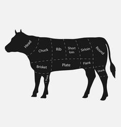 Beef cuts diagram and butchery design elements Vector Image