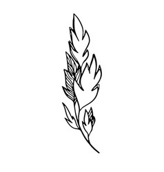 Delicate Sketch Of Leaves