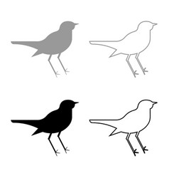 Nightingale Luscinia Bird Silhouette Icon Outline