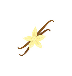 Vanilla Flower