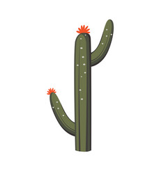 Simple Cactus Tree Cacti