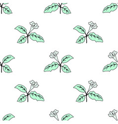 Seamless Floral Pattern