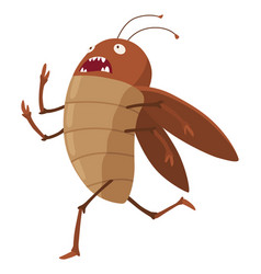 Dirt Cockroach Funny Brown Beetle Adorable