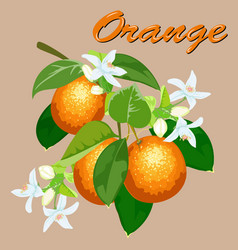 With A Branch Of Oranges