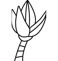 Flower Banana Line Icon