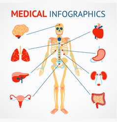 Human Organs Infographic