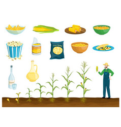 Corn Products Flat Set