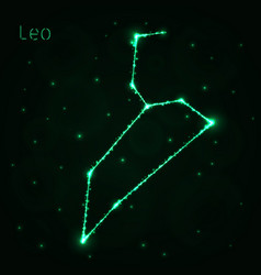 Leo Silhouette Of Lights