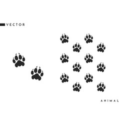 Panther Paw Print Set