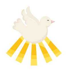 Dove With Golden Rays