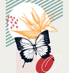 Collage Style Ulysses Butterfly Hand-sketch