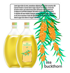 Sea Buckthorn Oil In Glass Bottle