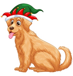 Cute Dog Wearing Jester Hat