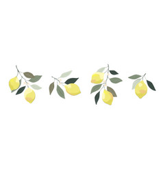 Set Of Lemon Branches Hand Drawn Tree Branch