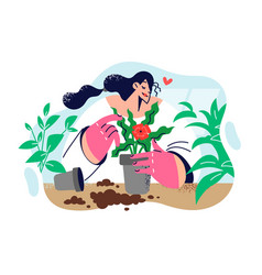 Woman Is Planting Home Plant In Pot Taking Care